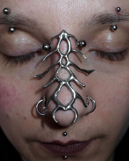 Nose Armor