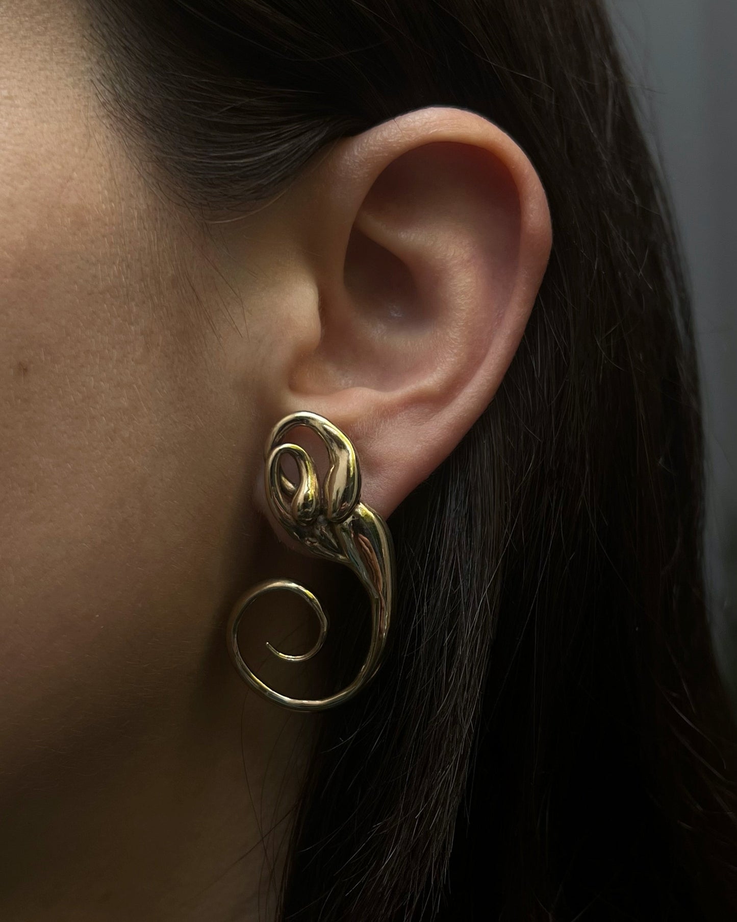 Inner Ear Earrings