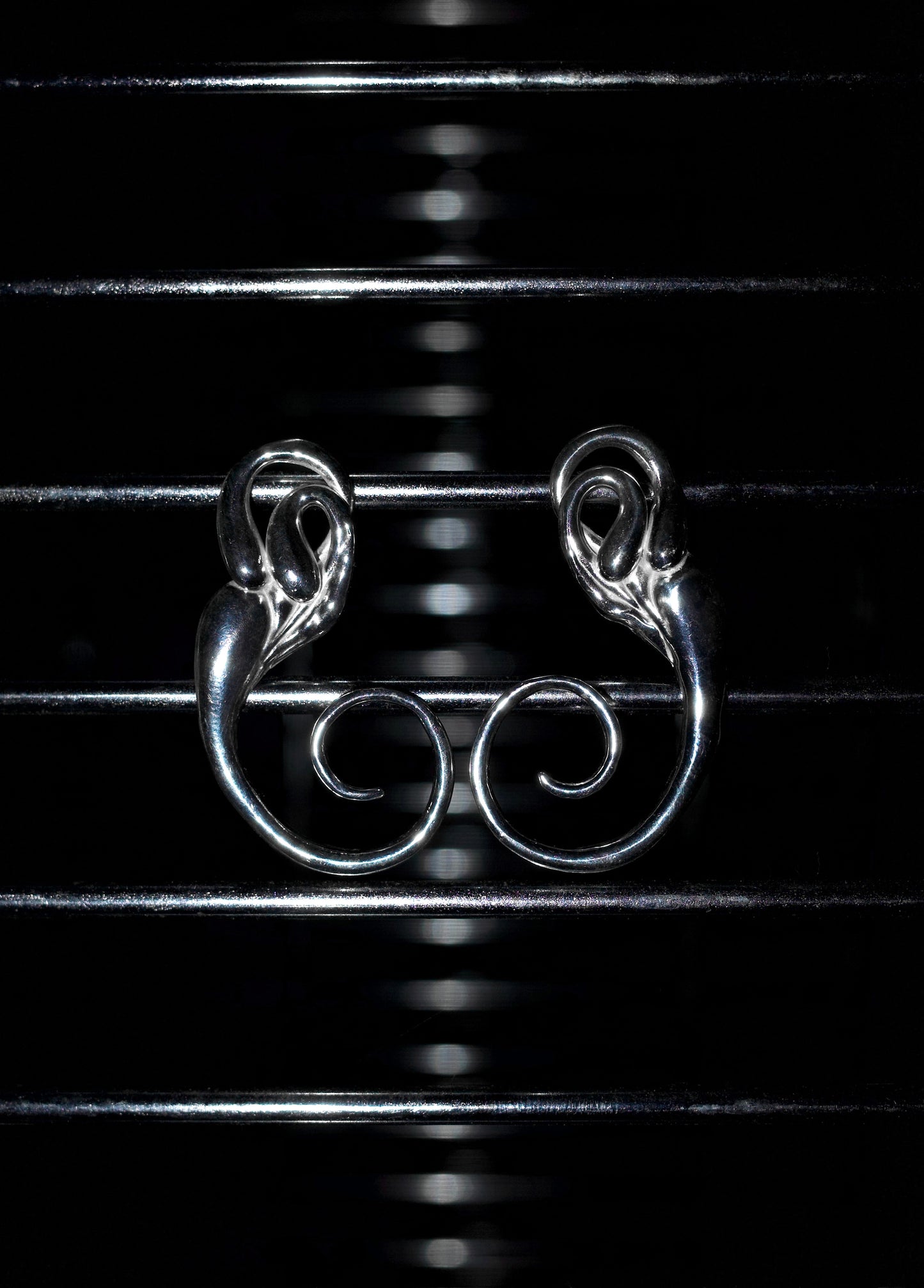 Inner Ear Earrings