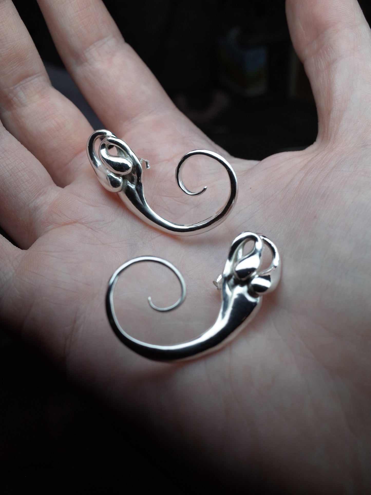 Inner Ear Earrings